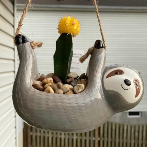 Handmade and Hand Painted Sloth Ceramic Hanging Planter photo review
