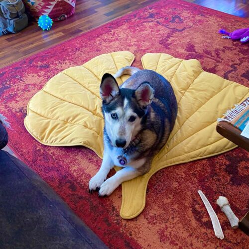 Mustard Yellow Ginkgo Leaf Quilted Floor Mat | Cat Dog Pet Floor Mat | Kids Nursery Play Mat photo review