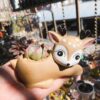 mini-deer-ceramic-planter-with-succulent-plant-eyes-open-with-eye-lashes-insta