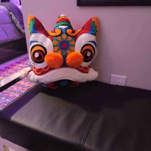 Retro Boho Lion Embroidered Cushion Decorative Throw Pillow with Pom Pom Nose photo review