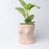 Creative Human Body Boobs Bottom Planter Planters & Vases Living Room Bedroom Bathroom Feel Good Decor