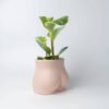 Creative Human Body Boobs Bottom Planter Planters & Vases Living Room Bedroom Bathroom Feel Good Decor