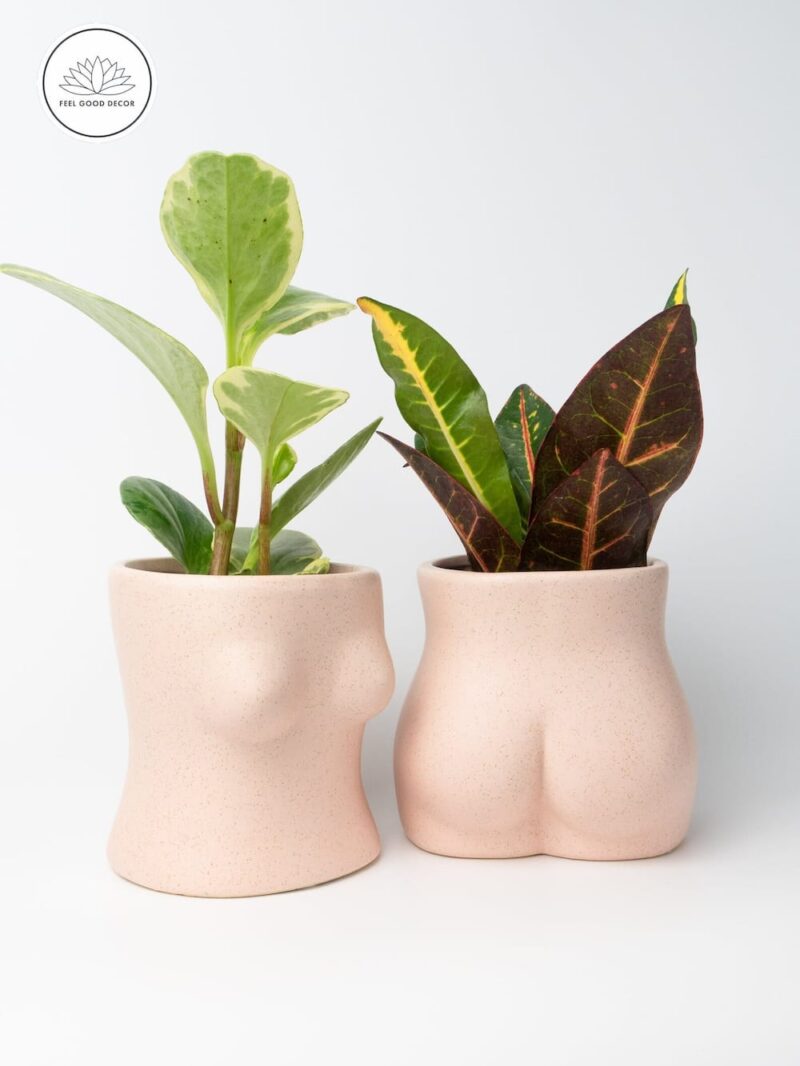 Creative Human Body Female Bust Boobs Bottom Butt Bum Ceramic Planter Plant Pot-feel-good-decor