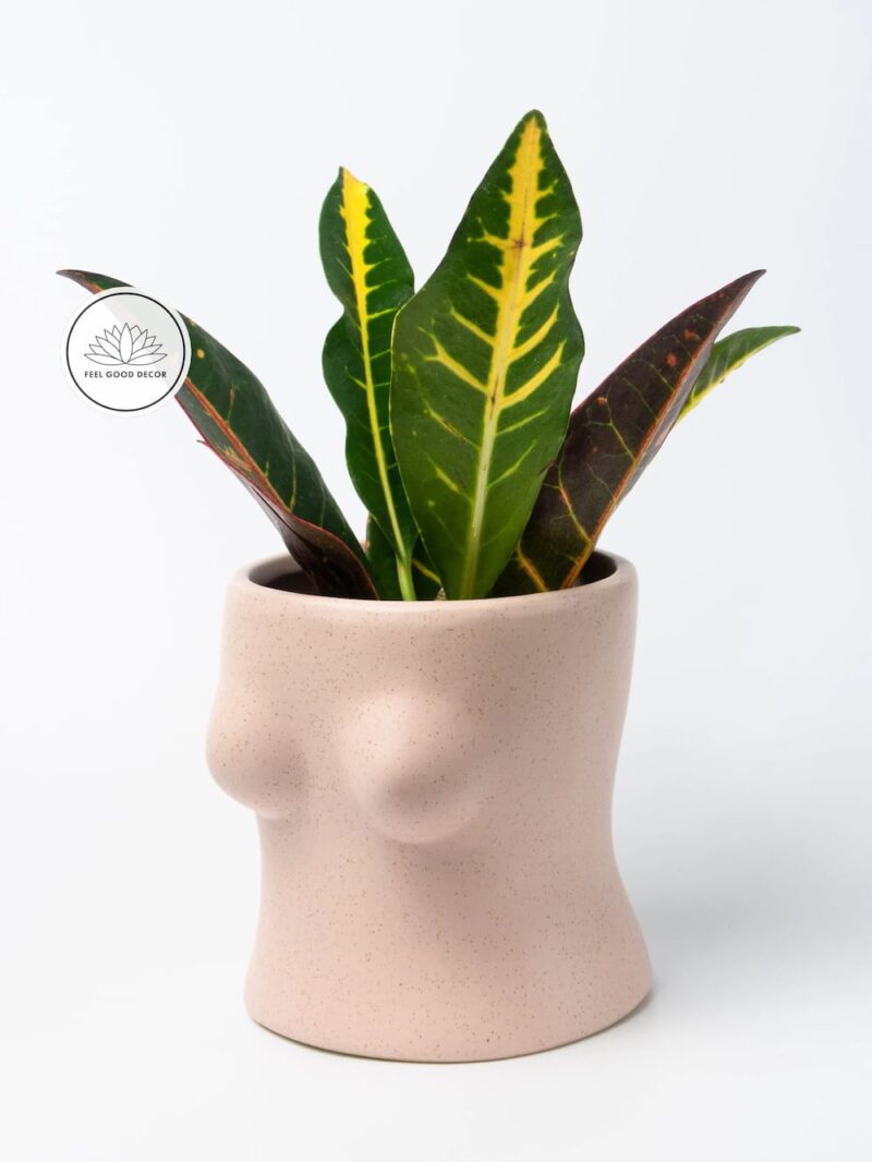 Creative Human Body Female Bust Boobs Bottom Butt Bum Ceramic Planter Plant Pot-feel-good-decor