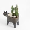 black-cat-ceramic-planter-for-cactus-succulent-feel-good-decor
