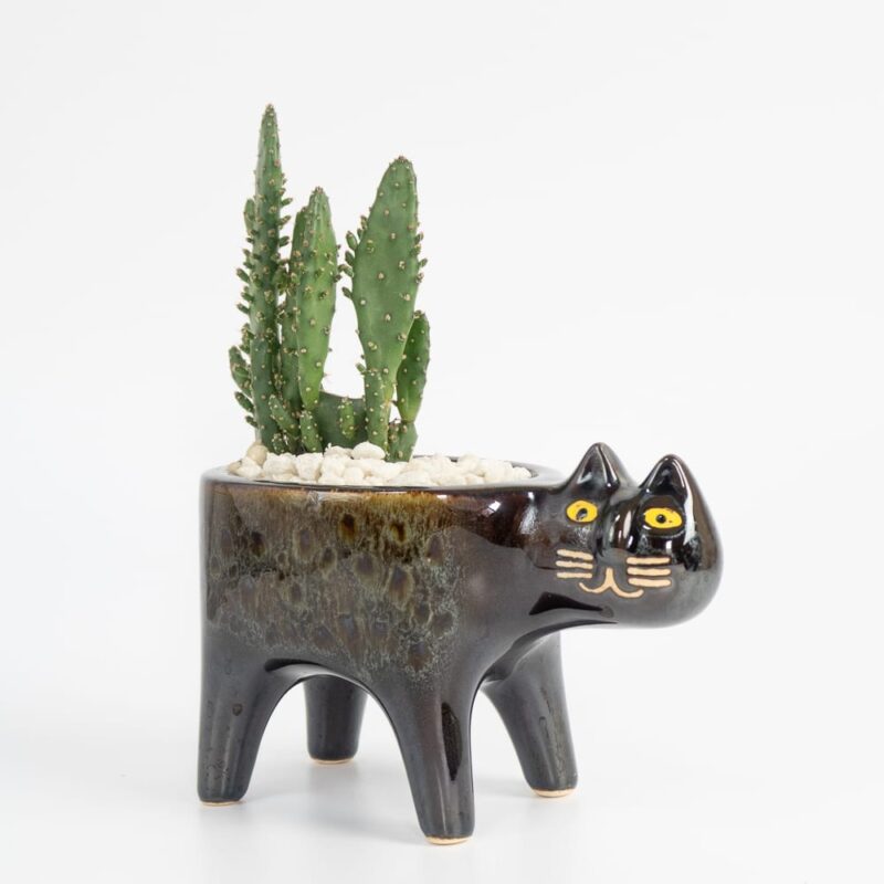 black-cat-ceramic-planter-for-cactus-succulent-feel-good-decor