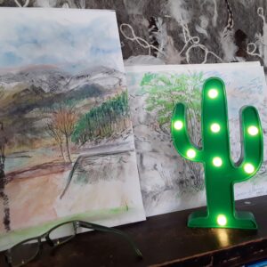 Green Cactus LED Light (Battery Powered) photo review