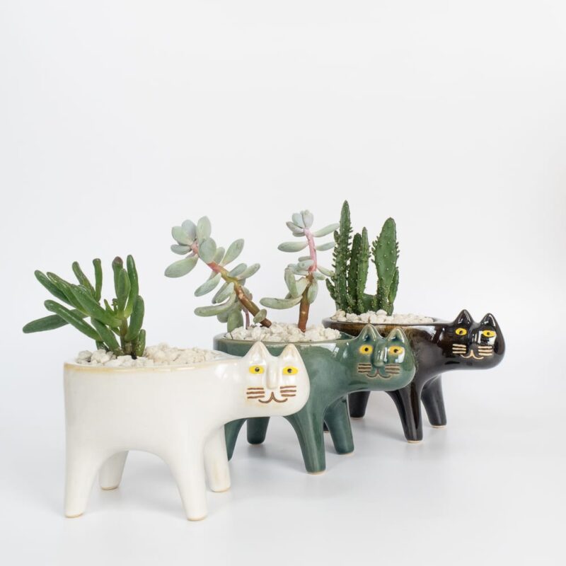 cat-ceramic-planter-for-cactus-succulent-feel-good-decor