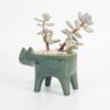green-cat-ceramic-planter-for-cactus-succulent-feel-good-decor