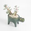 green-cat-ceramic-planter-for-cactus-succulent-feel-good-decor