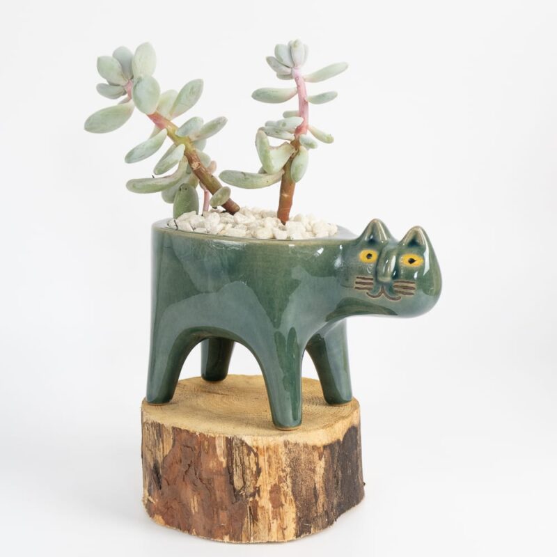 green-ceramic-cat-pant-pot-on-log-feel-good-decor