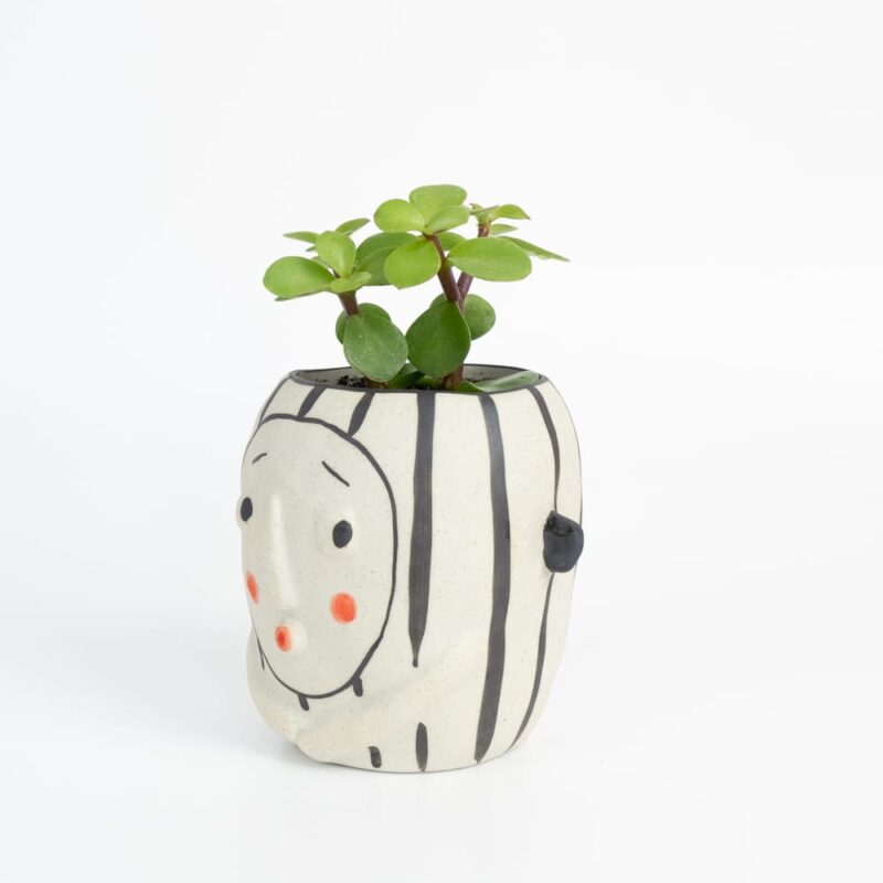 Handpainted-clay-ceramic-mini-face-plant-pot-feel-good-decor-cactus-succulent