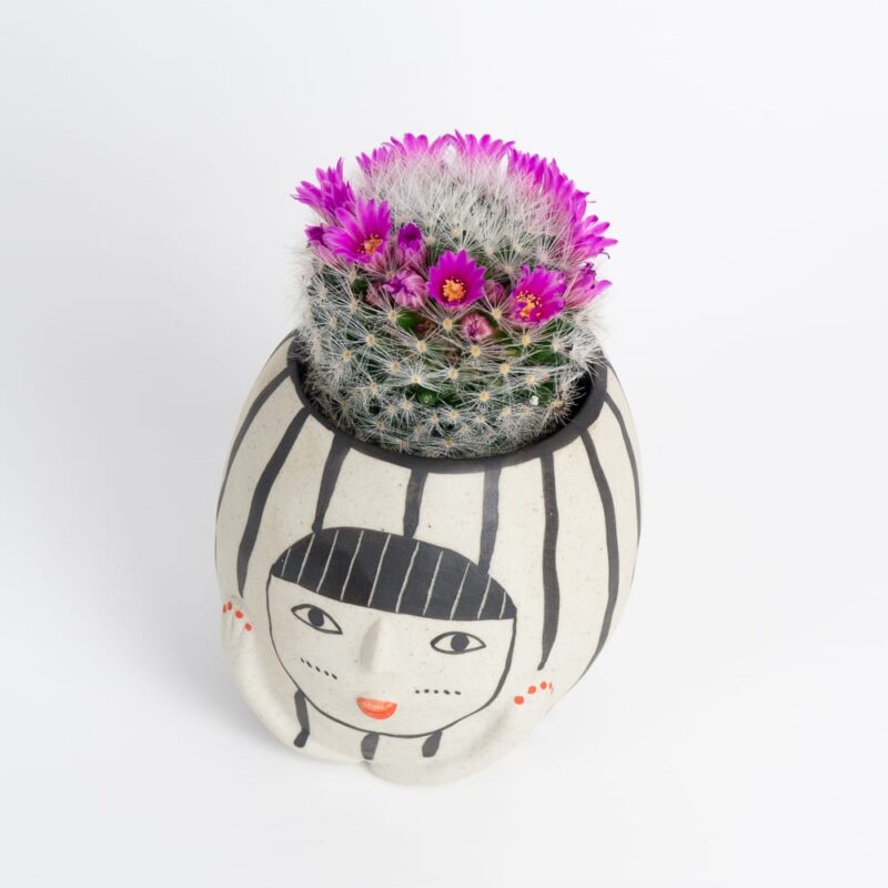 Handpainted-clay-ceramic-mini-face-plant-pot-feel-good-decor-cactus-succulent