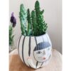 mini-ceramic-face-plant-pots-for-cactus-succulent-feel-good-decor-insta-style