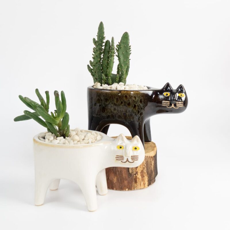white-and-black-cat-ceramic-planter-for-cactus-succulent-feel-good-decor