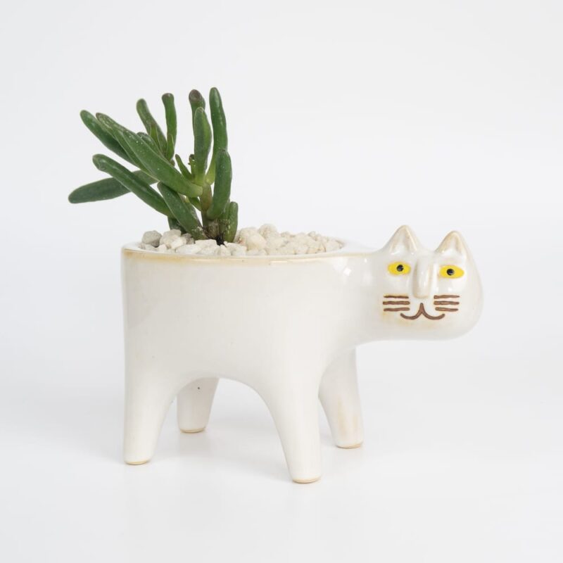 white-cat-ceramic-planter-for-cactus-succulent-feel-good-decor