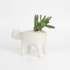 white-cat-ceramic-planter-for-cactus-succulent-feel-good-decor
