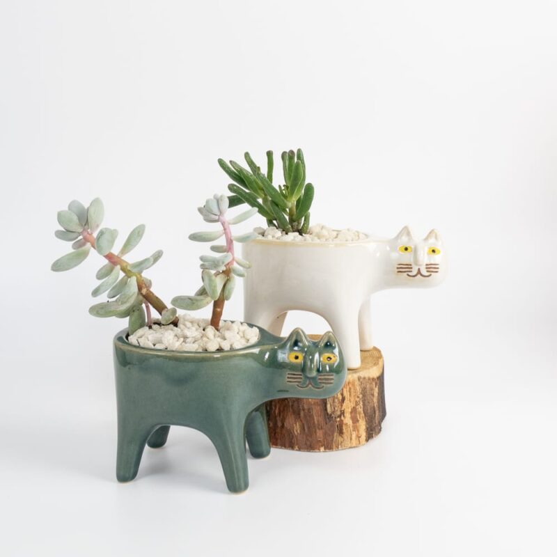 white-and-green-cat-ceramic-planter-for-cactus-succulent-feel-good-decor