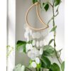handmade-rattan-moon-wind-chime-with-natural-shells-2-feelgooddecorhandmade-rattan-moon-wind-chime-with-natural-shells-2-feelgooddecor