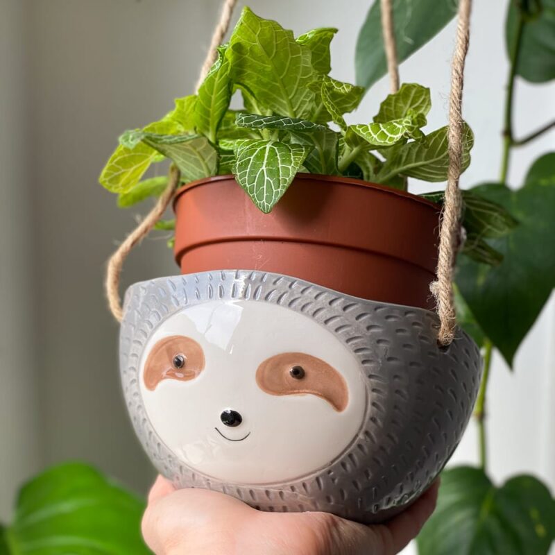 handmade sloth face hanging planter