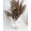 White-bum-butt-vase-with-bisque-finish-feel-good-decor-dried-pamps-grass