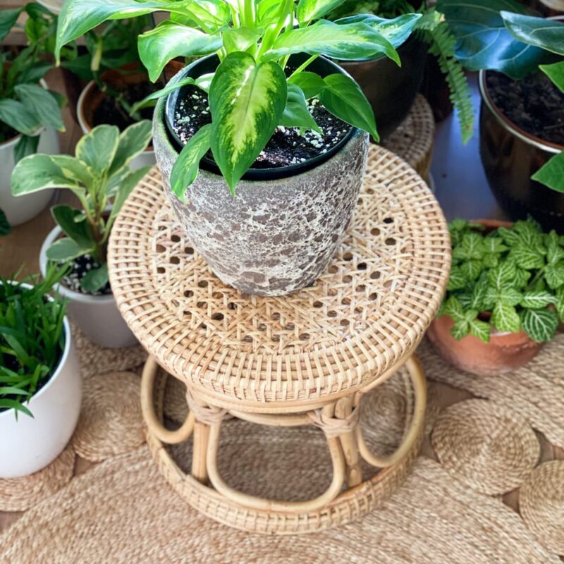boho-handwoven-rattan-plant-stand-tabke-feel-good-decor-insta-style