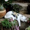 ornamental-sleeping-cat-with-vintage-pattern-next-to-plants